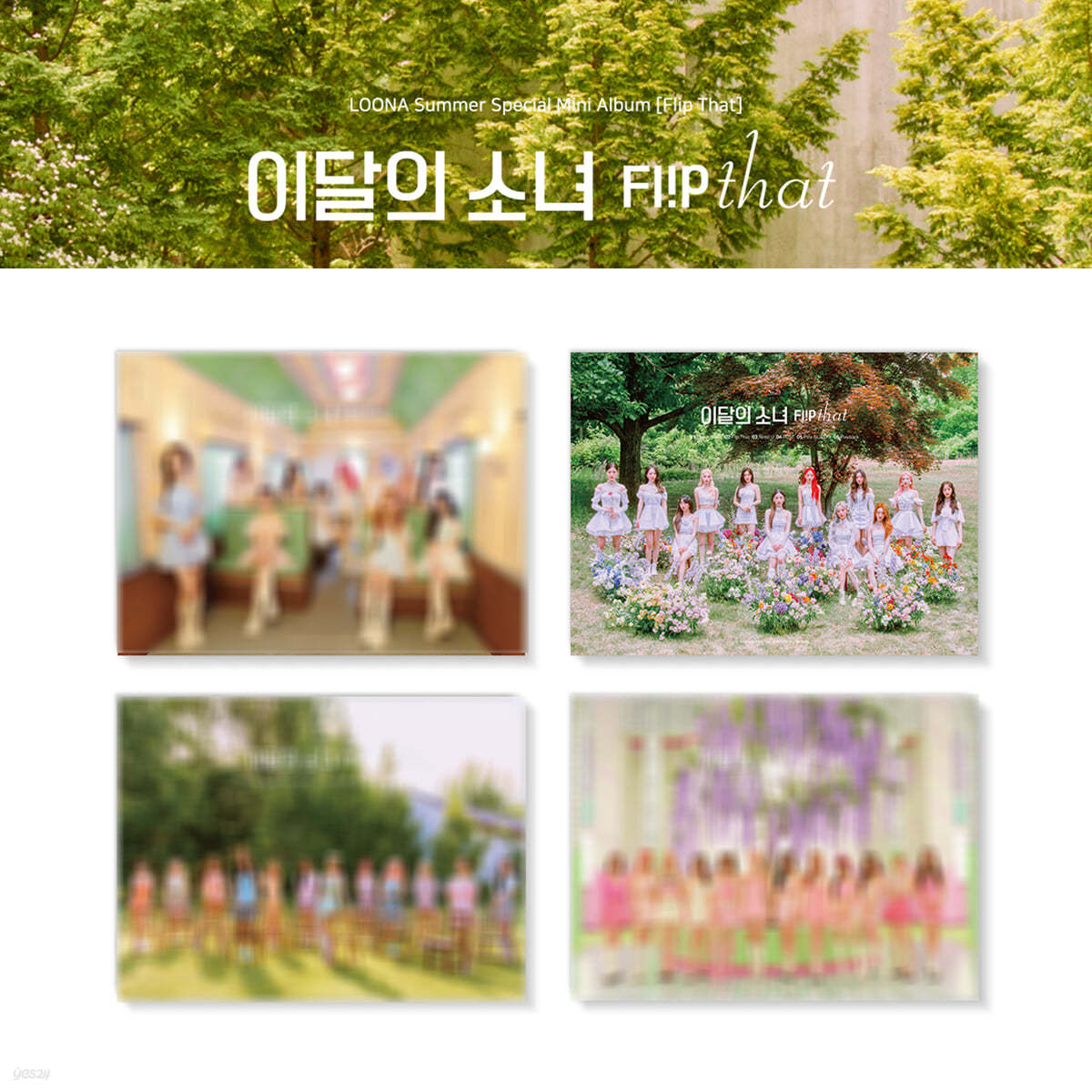 LOONA Summer Special Mini Album : Flip That