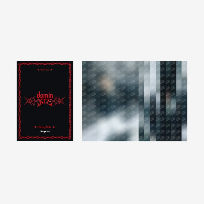 (PRE-ORDER) Stray Kids POSTCARD BOOK (dominATE SEOUL)