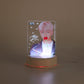 BTS - Jimin, Jung Kook, V, JIN, RM, j-hope, SUGA | LED Desk / Bedside Lamp with USB cable